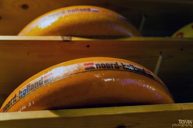 Amsterdam cheese gouda
