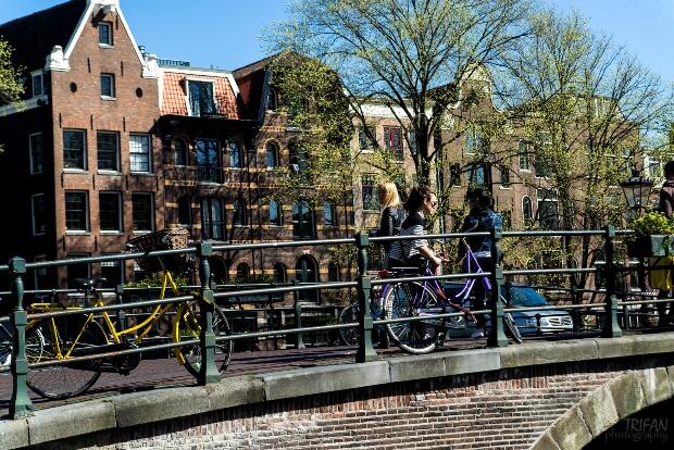 bike locks in amsterdam