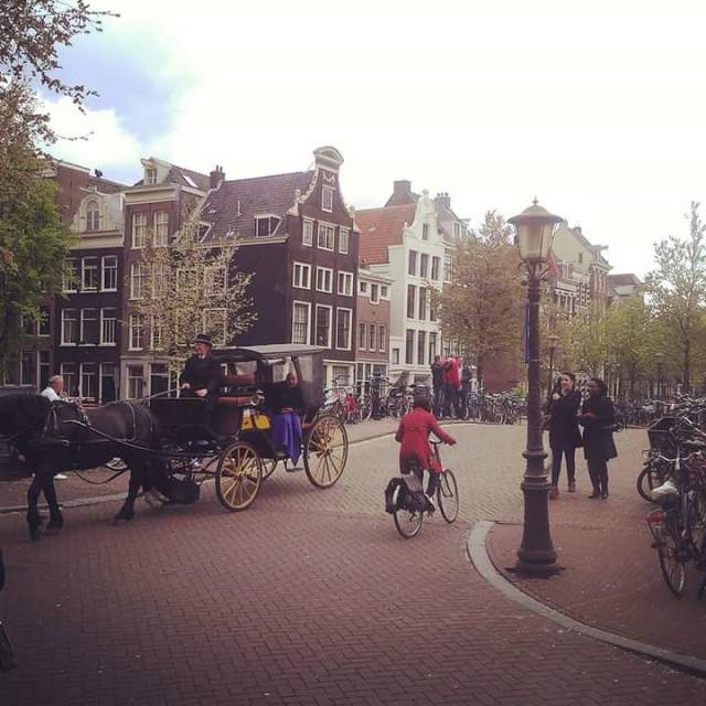 spring in Amsterdam