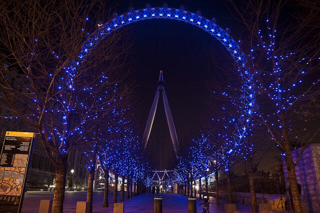 Night shot of the London Eye.