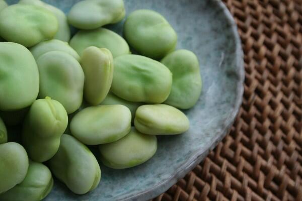 Fava beans out of their pods.