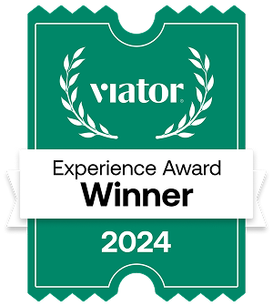 Experience Award Winner Icon 1