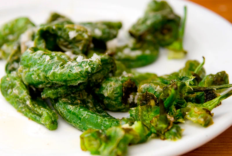 Pimientos_de_padrón_Barcelona_food