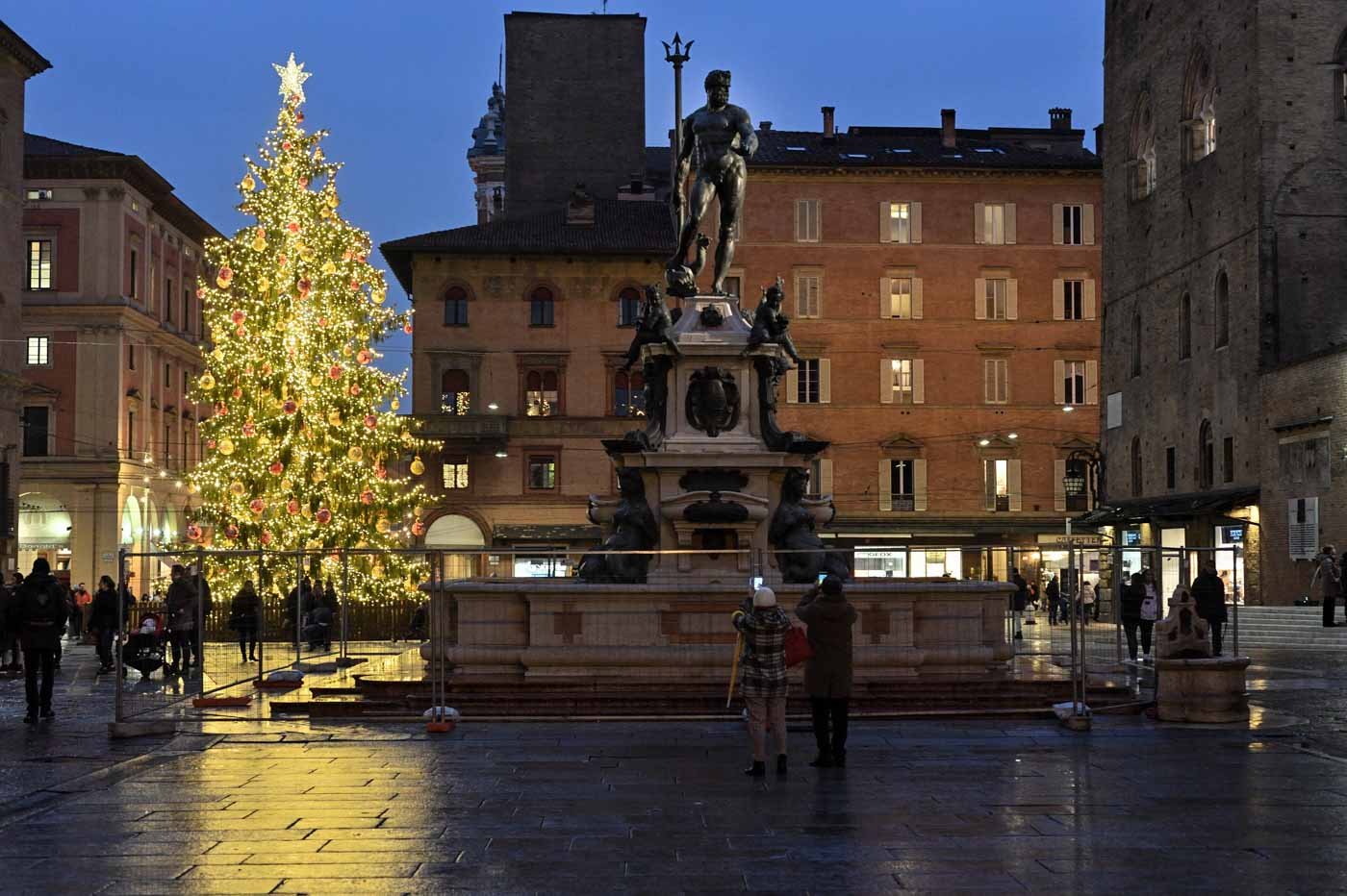 Christmas_tree_Bologna