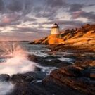 DayTrip02390335801 Avatar