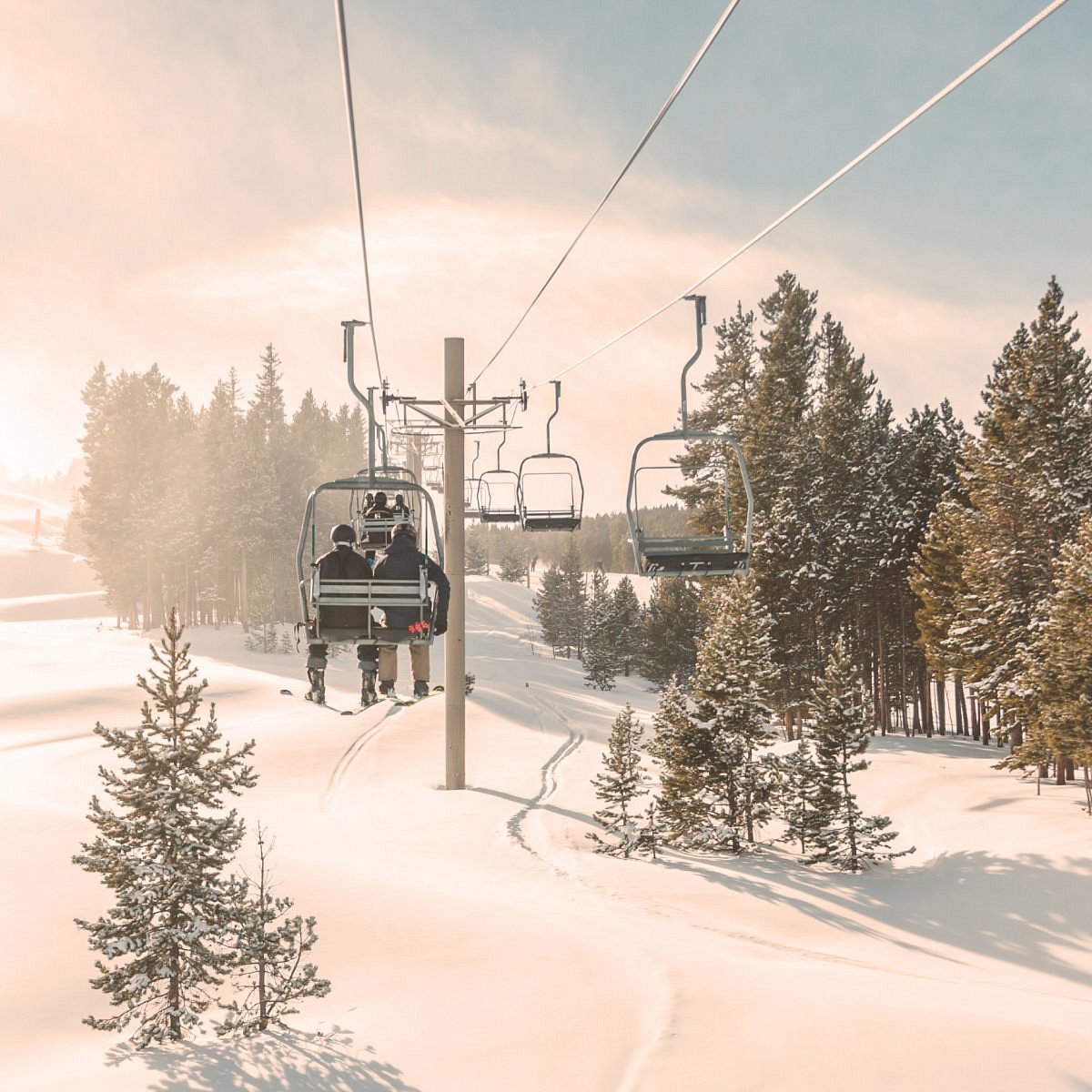 Curiosity31065919840 Avatar