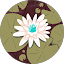 Leya Vishnevsky Avatar